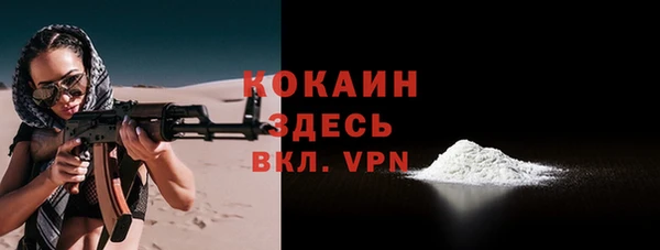 соль ск Бородино