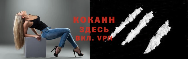 соль ск Бородино