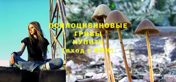 соль ск Бородино