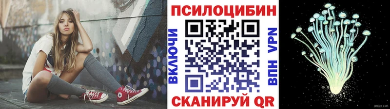 Псилоцибиновые грибы MAGIC MUSHROOMS  наркошоп  Вичуга 